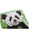 Crystal Card sæt: Baby Panda