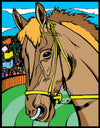 Colorvelvet A4: Hestehoved