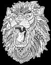 Colorvelvet 47x35cm: Løvebrøl