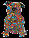 Colorvelvet 47x35 cm: Pitbull