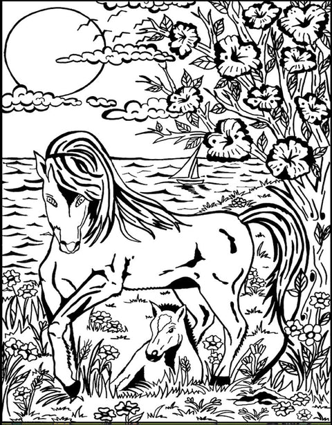 Colorvelvet A4: Hest og Føl