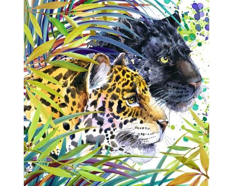 sort panter og jaguar 38x38 cm firkantet