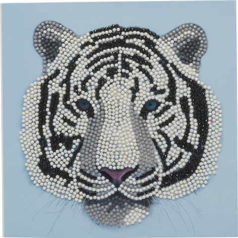 crystal card sæt: hvid tiger hoved runde