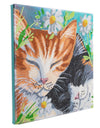 Crystal Art på ramme 30x30 cm: Søvnige katte