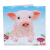 crystal card sæt: gris der ser over hegnet runde